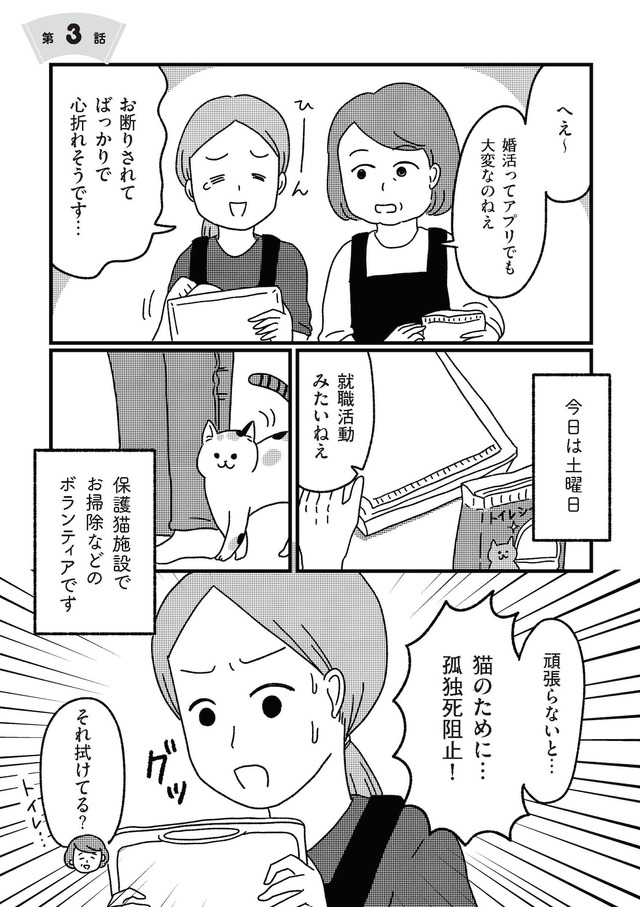 ねこ婚 猫のための交際ゼロ日婚