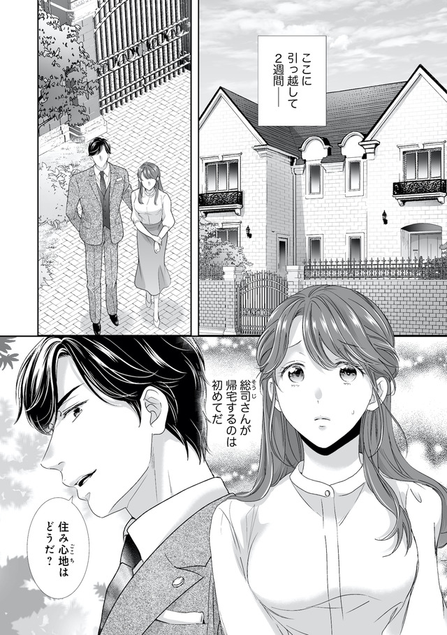 オペラ座のシンデレラ～王子様は極上御曹司～
