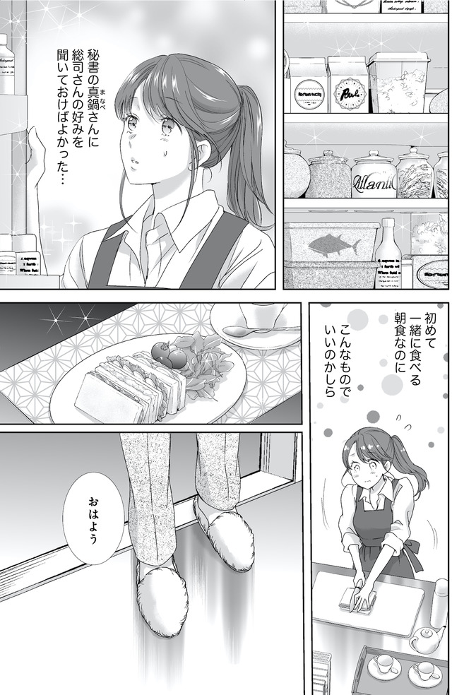 オペラ座のシンデレラ～王子様は極上御曹司～