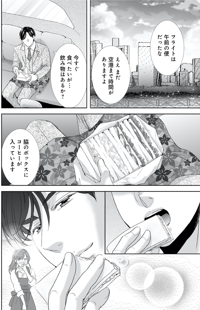 オペラ座のシンデレラ～王子様は極上御曹司～