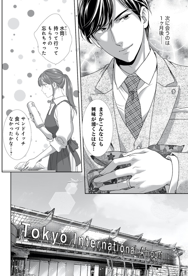 オペラ座のシンデレラ～王子様は極上御曹司～