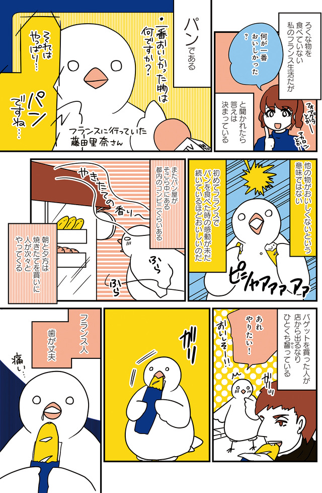 フランスはとにっき: 海外に住むって決めたら漫画家デビュー