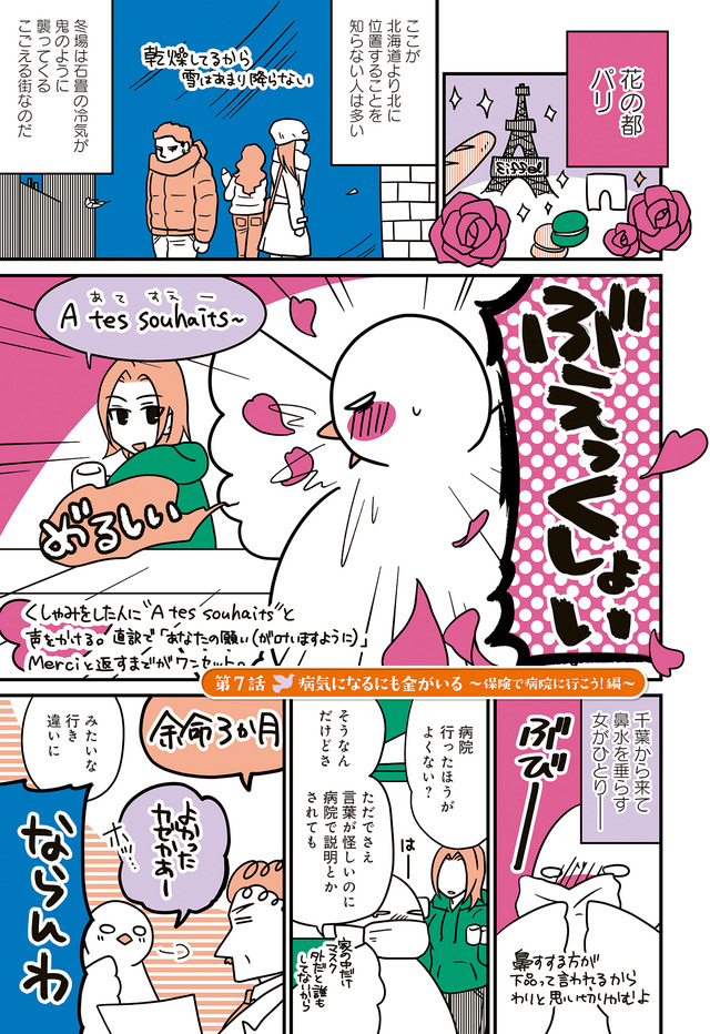 フランスはとにっき: 海外に住むって決めたら漫画家デビュー