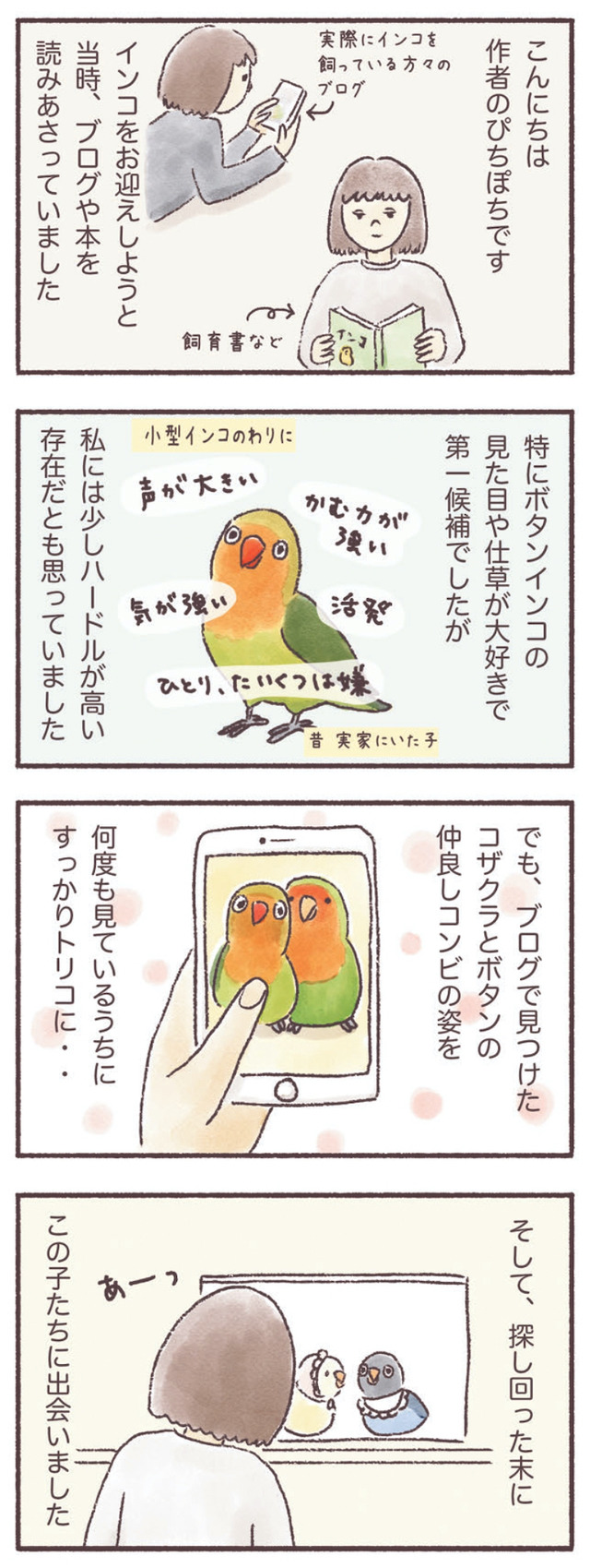 うちのインコたちは今日もおしゃべり
