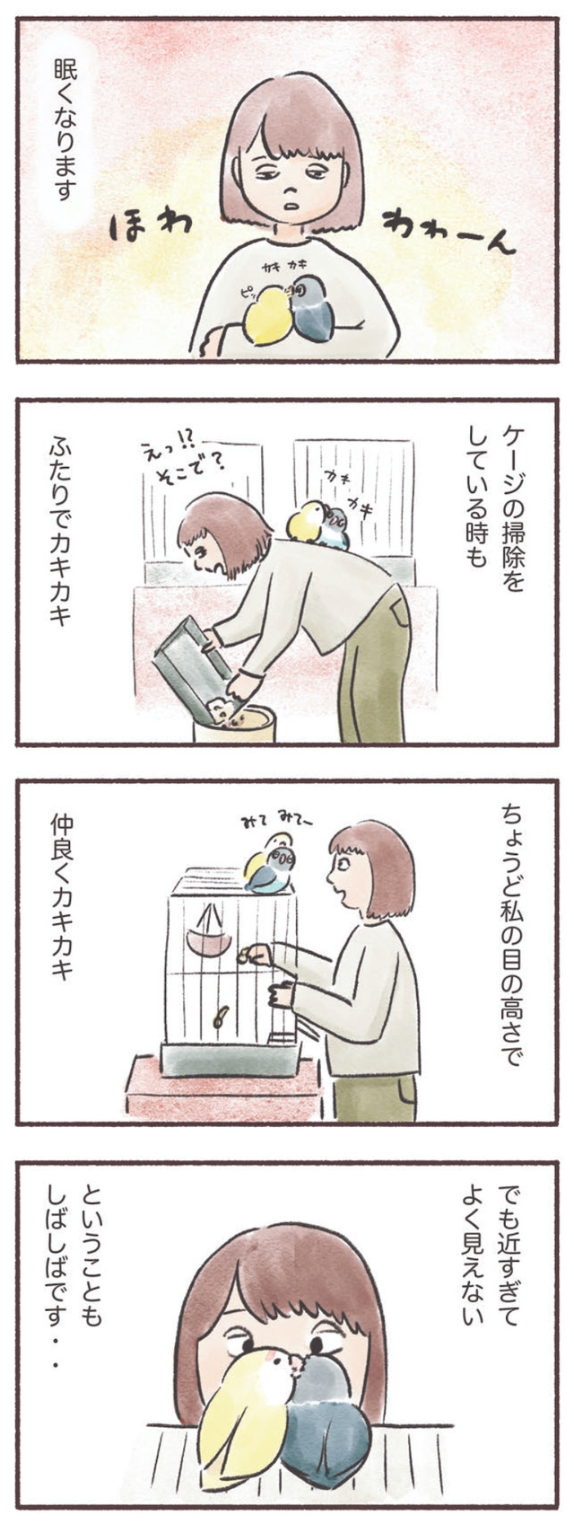 うちのインコたちは今日もおしゃべり
