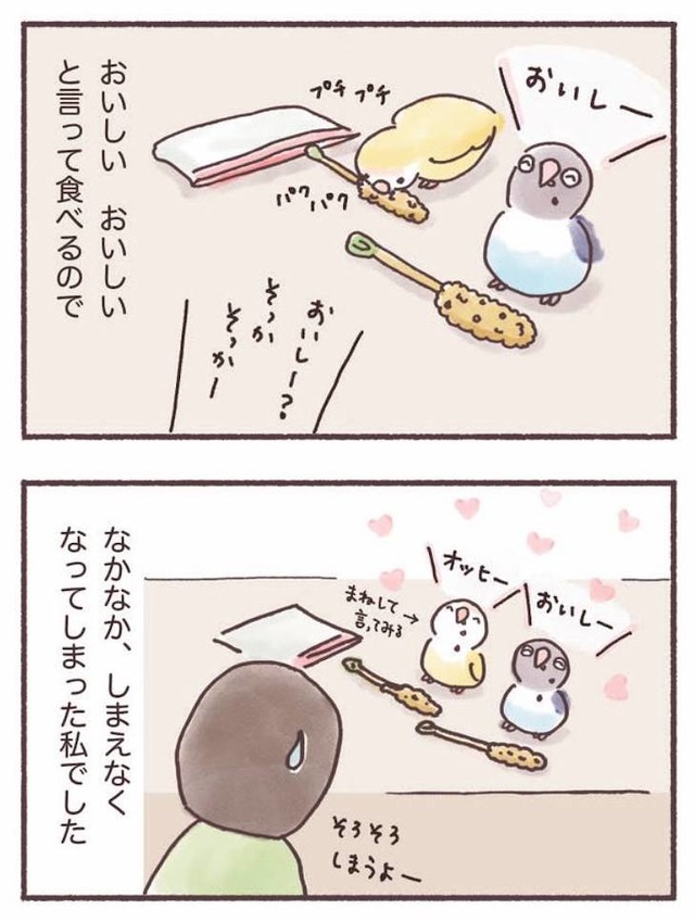 うちのインコたちは今日もおしゃべり