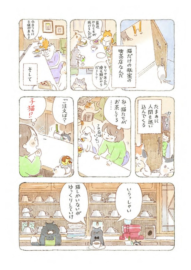 深夜３時のくろねこ喫茶