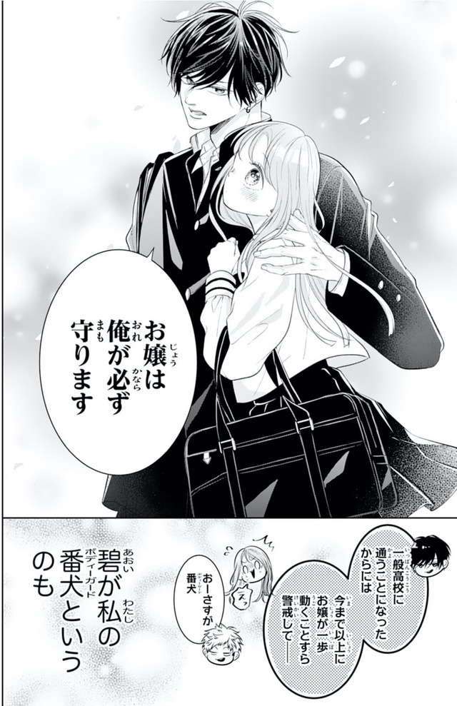 お嬢の愛は俺のもの