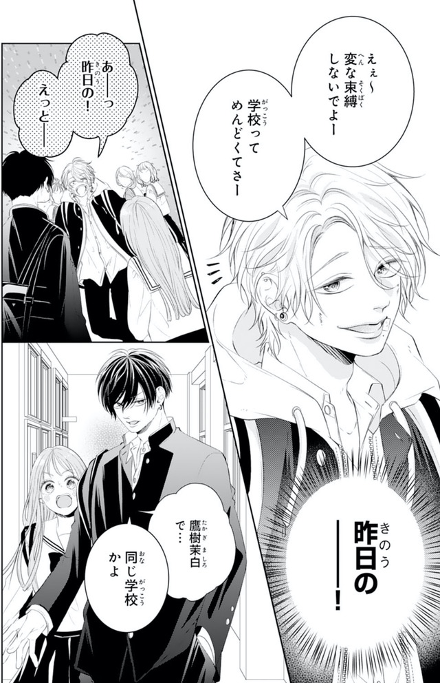 お嬢の愛は俺のもの