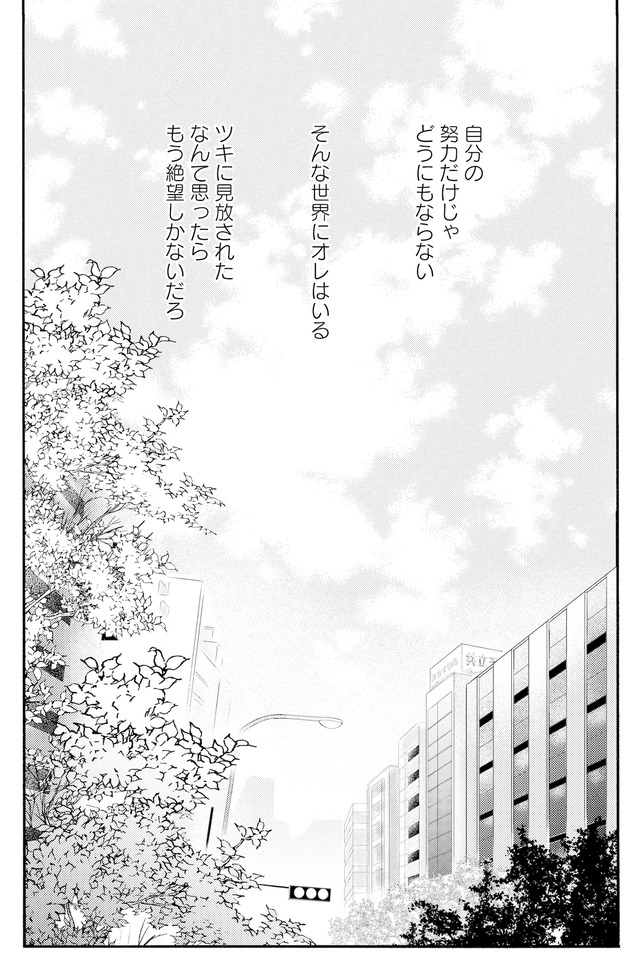 キセキノコイ