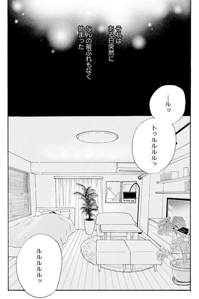 キセキノコイ