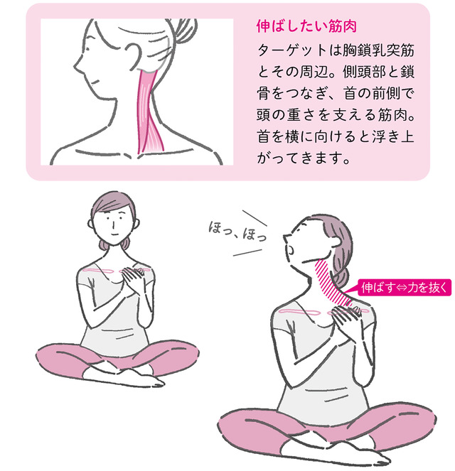 からだめぐる おなかのツボ回し