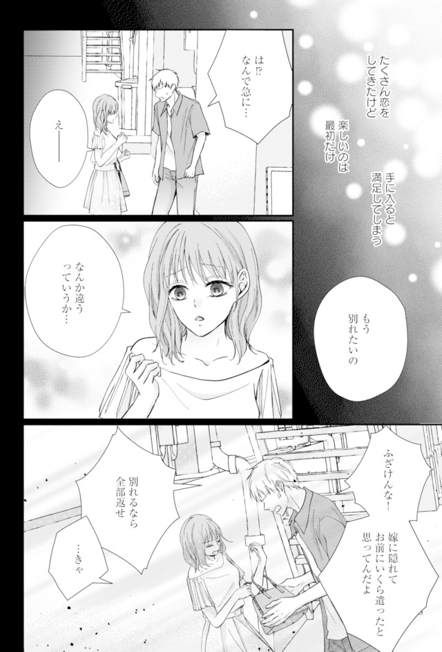 サレ妻の事情