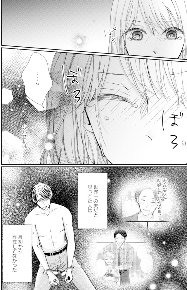 サレ妻の事情～理想の夫が実はクズで～