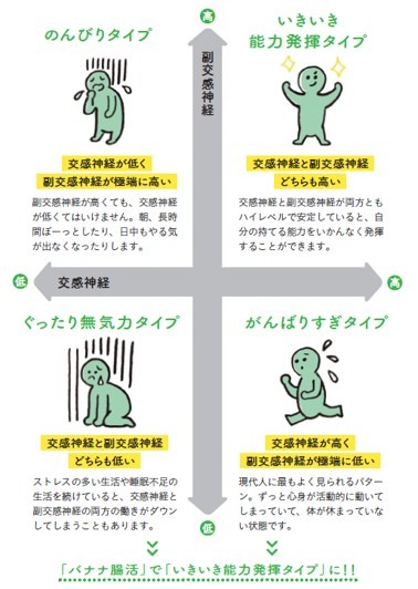 自律神経4つのタイプ