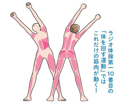 ラジオ体操第一10番目の「体を回す運動」で動く筋肉
