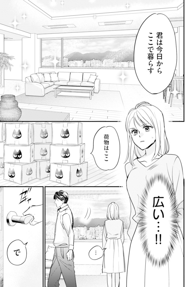 冷徹社長の溺愛に酔わされて～この結婚は借金のカタにつき～